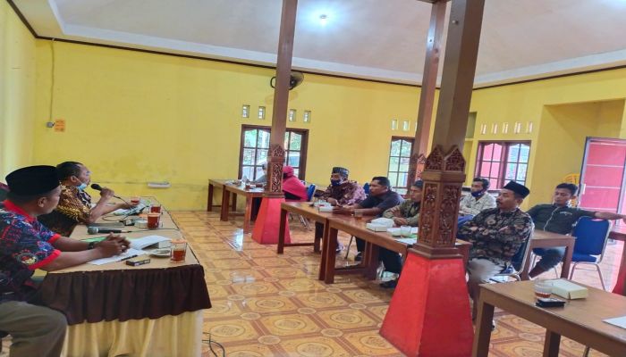 DEM AREA BUDIDAYA TANAMAN SEHAT PADI